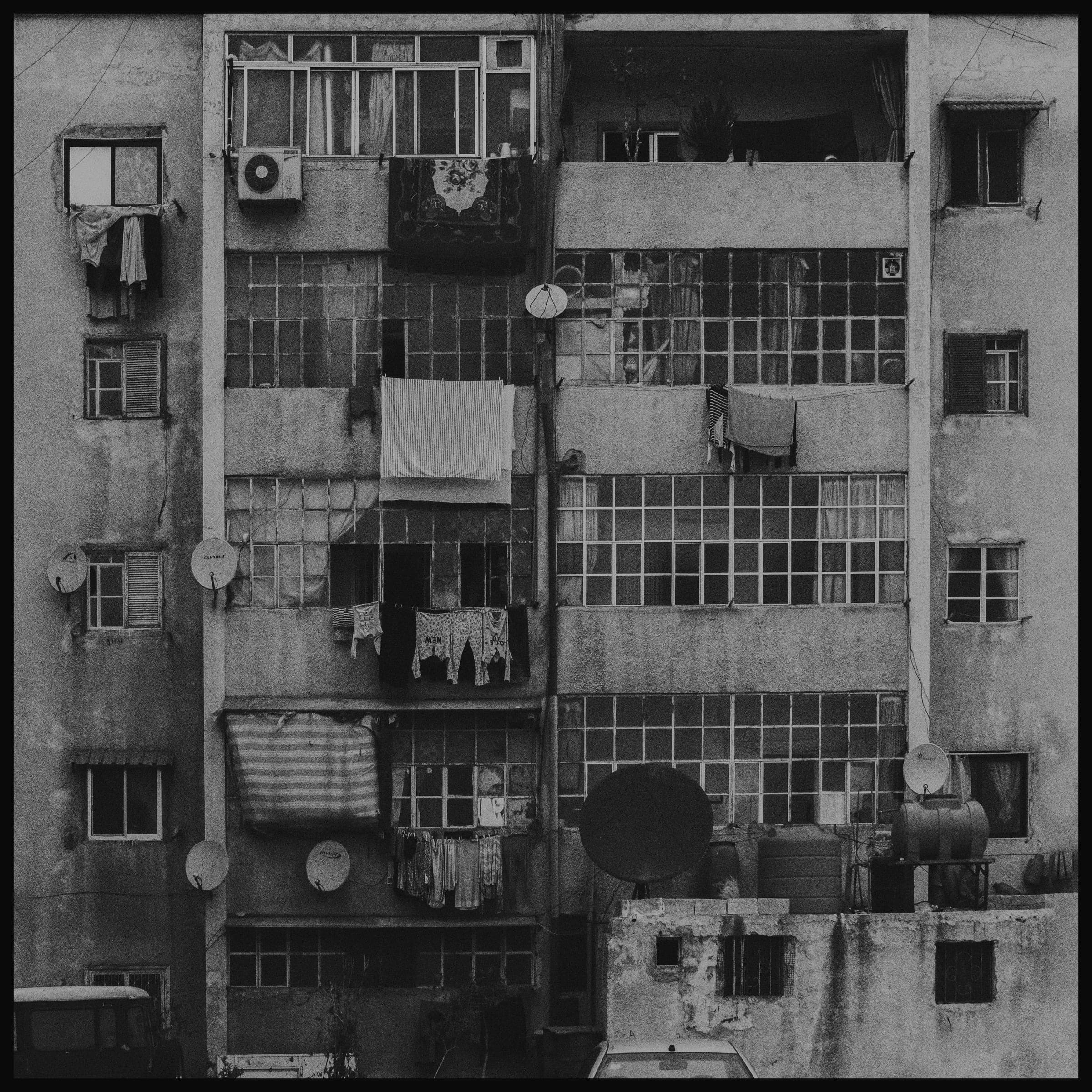 A Hand of Dust · plate 04