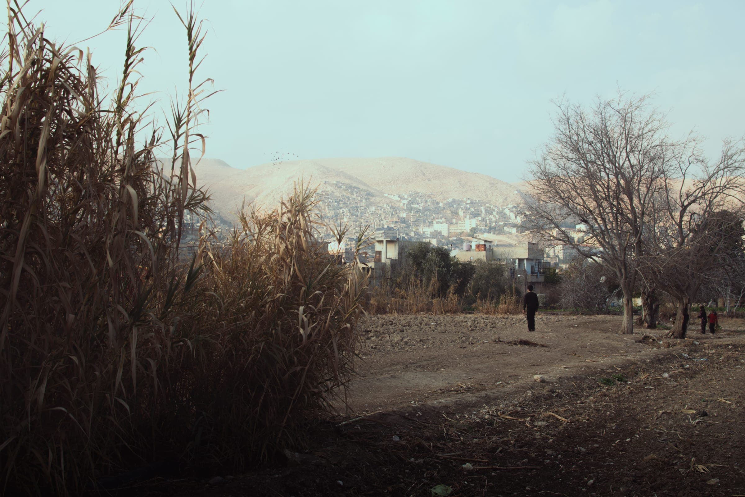 Compounding Vulnerabilities: Climate Change in Damascus · plate 04