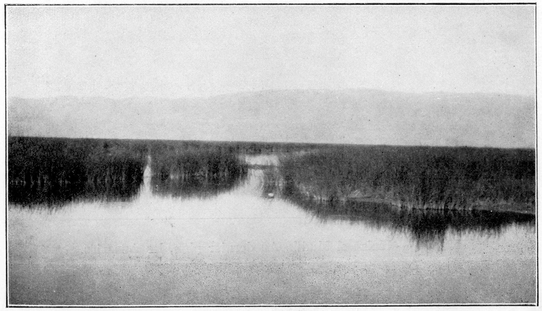How Does a Swamp Shape Law? · plate 03