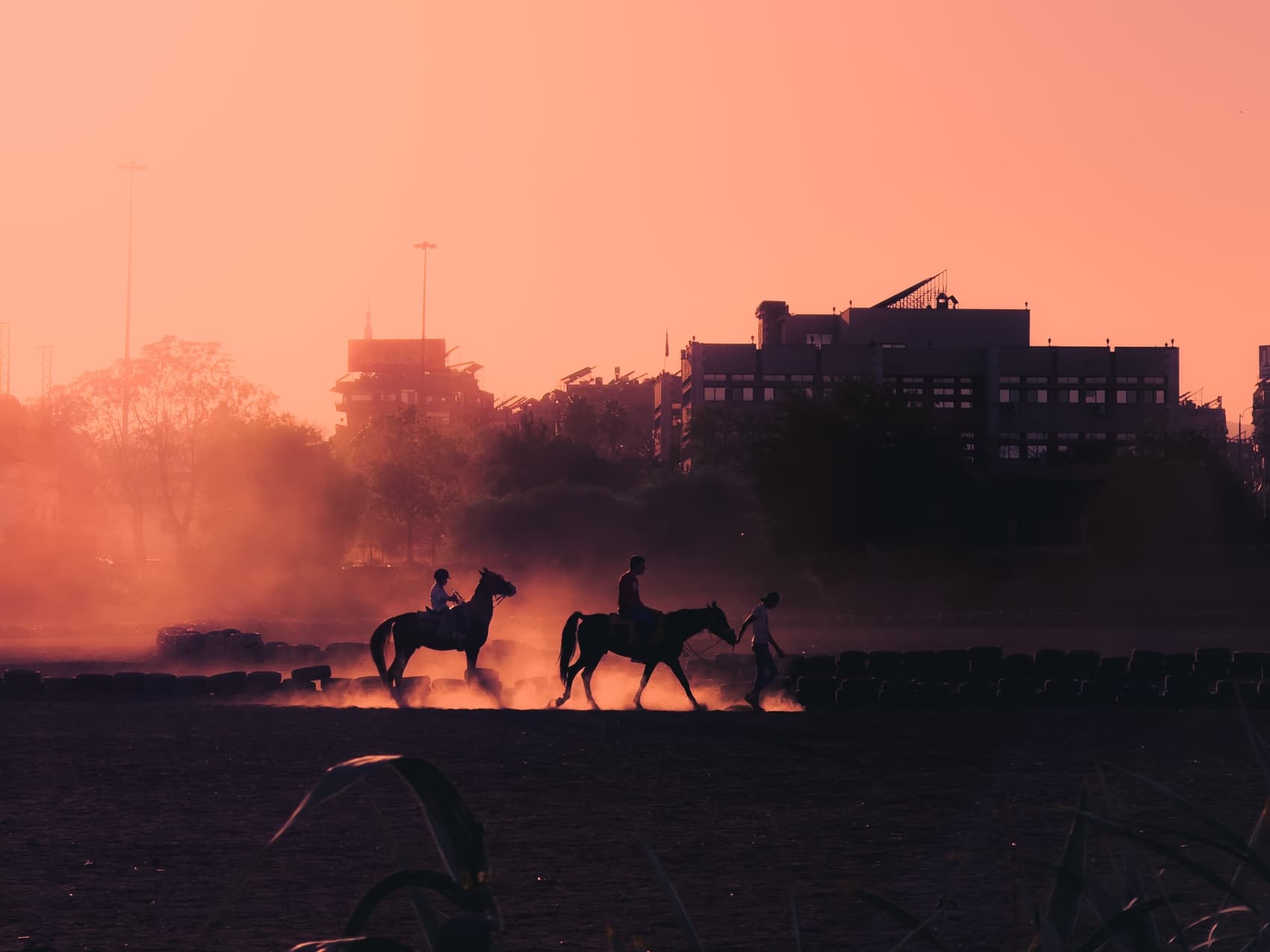 Landscapes from the Levant · plate 02
