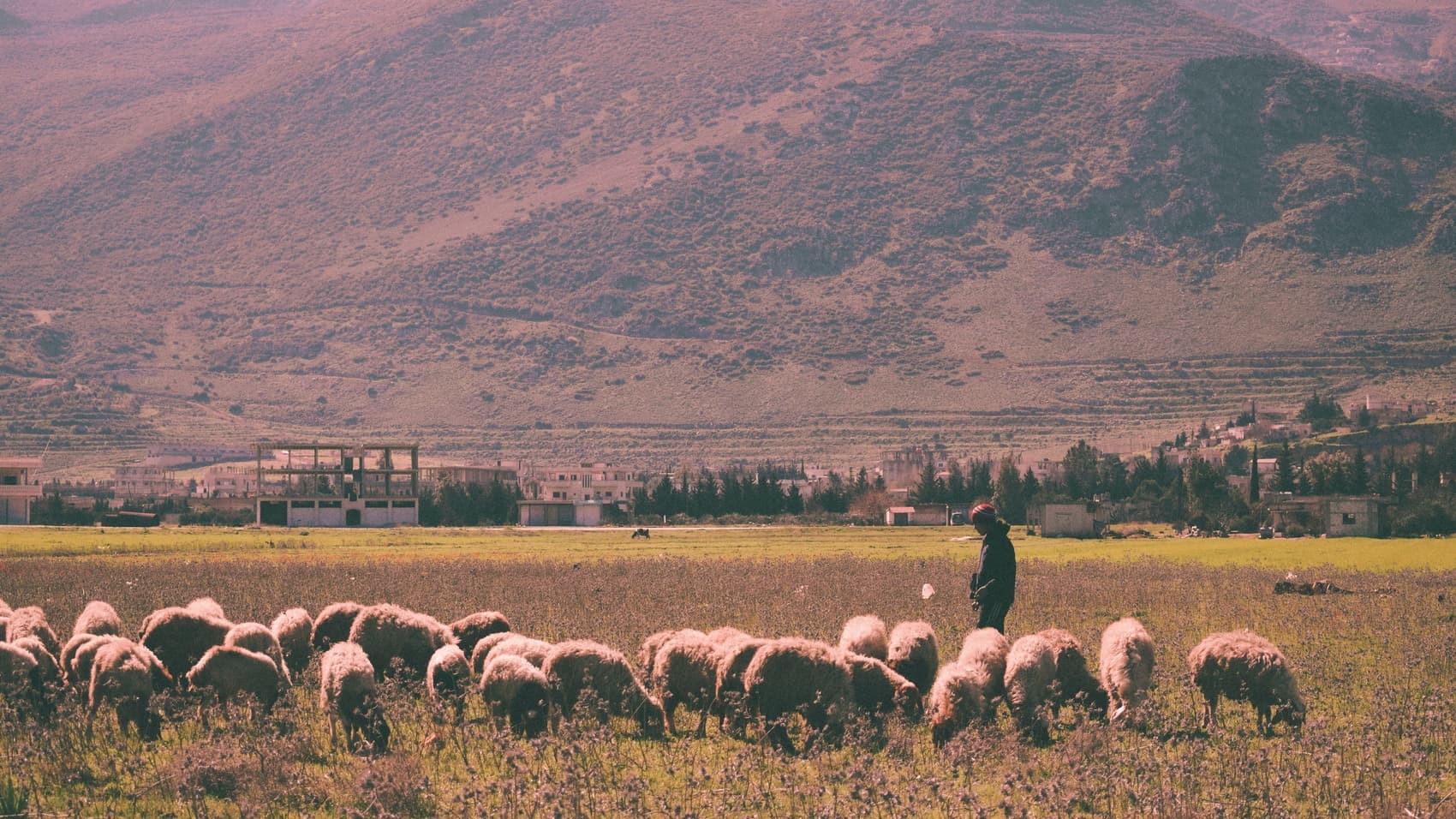 Landscapes from the Levant · plate 09