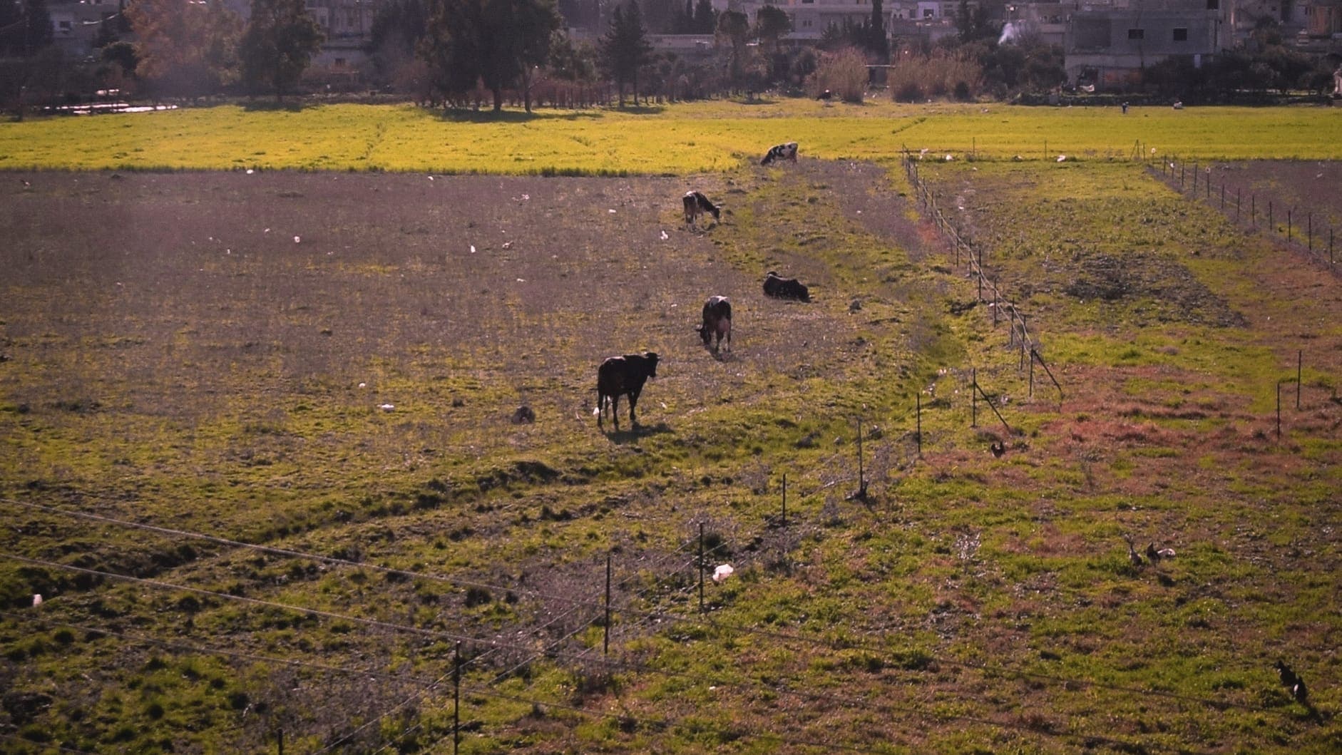 Phonic Film · still 03